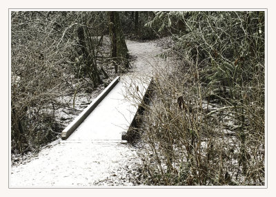 Backyard1_FP_V1_Web.jpg