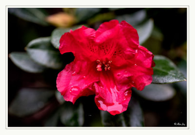 _DSC1444_FP_V1_Web.jpg