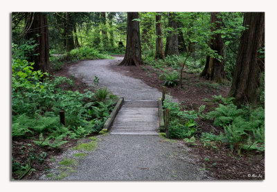 The Path Always Taken...