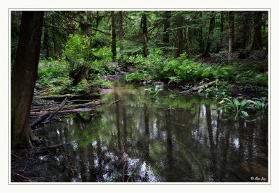 Alice Lake - Provincial Park