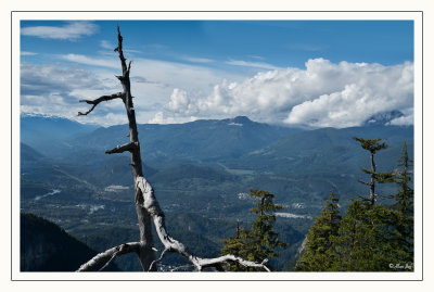 Sea To Sky - Squamish, BC