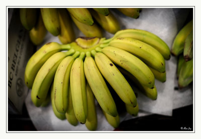 Go Bananas!