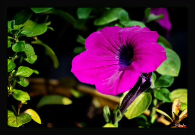 _DSC2341_FP_V2_Snap_Web.jpg