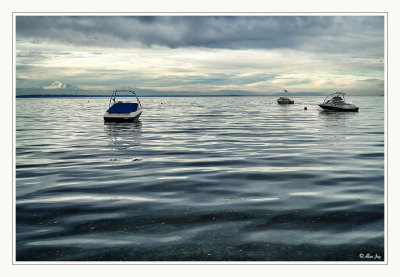 Across The Bay...