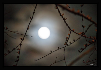 _DSC2570_Snap_FP_V2_Web.jpg