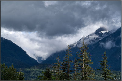 _DSC1749_Luminar_FP_V4b_Web.jpg