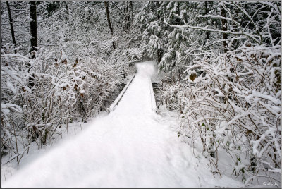 _DSC2732_FP_V1_Web.jpg