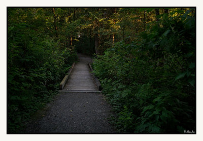 The Bridge...