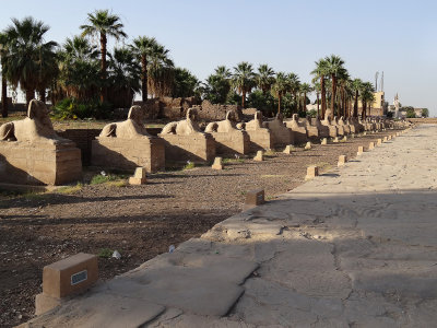 Luxor 18.jpg