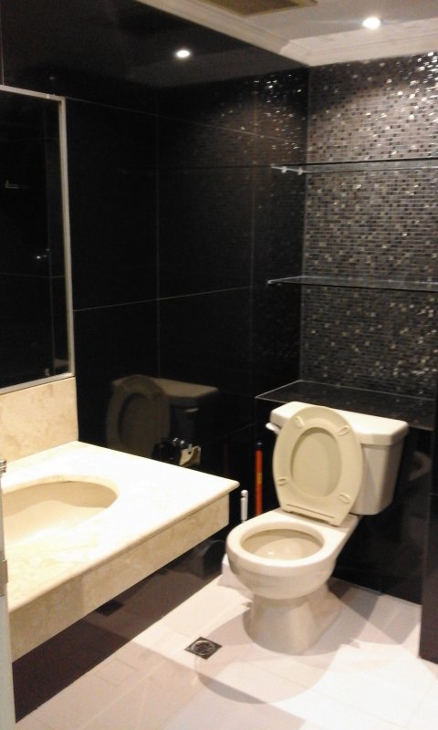  toilet.jpg