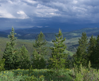 IMGP8035.jpg