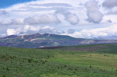 IMGP8404_2.jpg