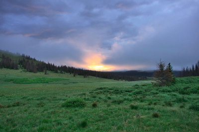IMGP8422_2.jpg