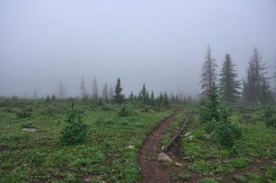IMGP8424_2.jpg