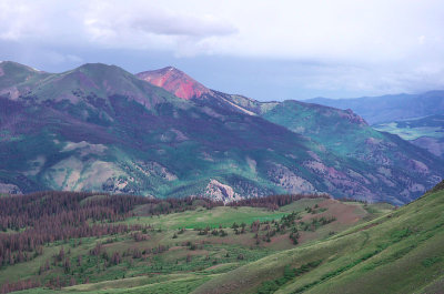 IMGP8487_2.jpg