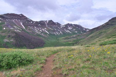 IMGP8529_2.jpg