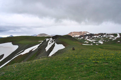 IMGP8712_2.jpg