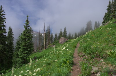 IMGP8846.jpg