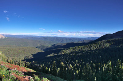 IMGP8989_2.jpg