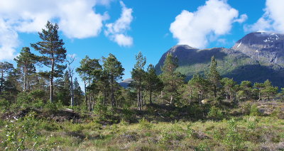 IMGP3439.jpg