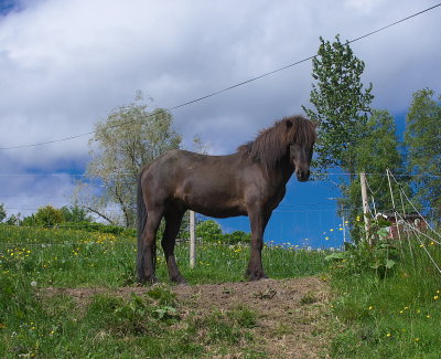 IMGP3458.jpg