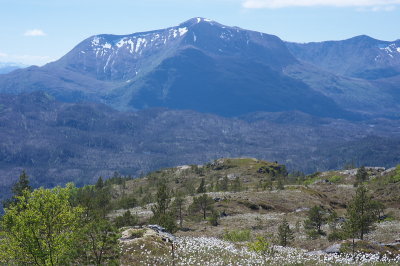 IMGP3477.jpg