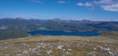 IMGP3492.jpg
