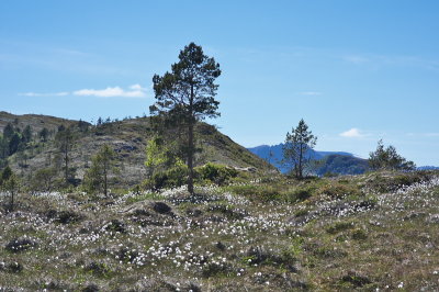 IMGP3515.jpg