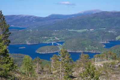 IMGP3517.jpg