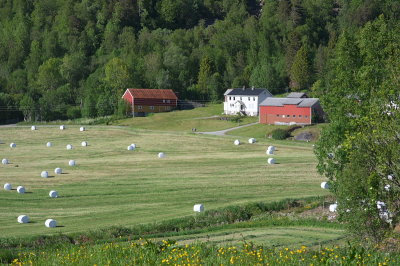 IMGP3518.jpg
