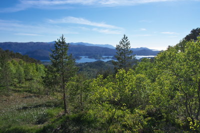 IMGP3520.jpg