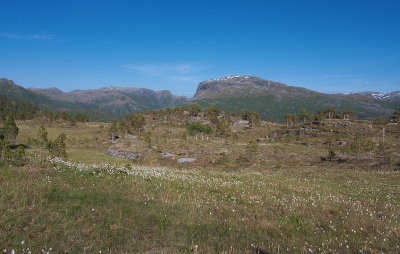 IMGP3522.jpg