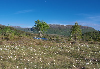 IMGP3526.jpg