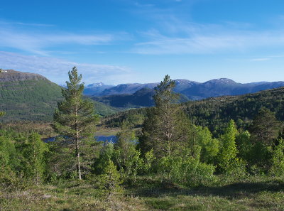 IMGP3527.jpg