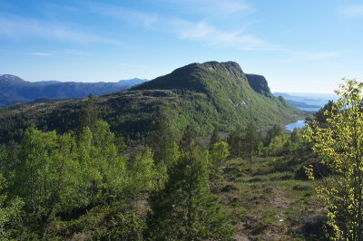 IMGP3529.jpg
