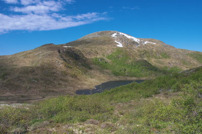 IMGP3535.jpg