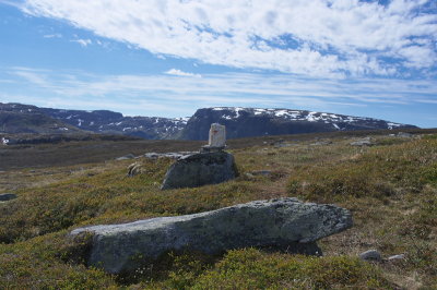 IMGP3544.jpg