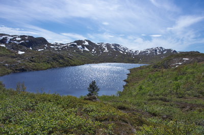 IMGP3606.jpg