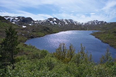 IMGP3607.jpg