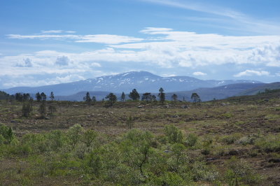 IMGP3636.jpg