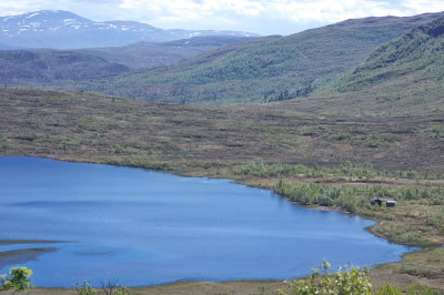 IMGP3637.jpg