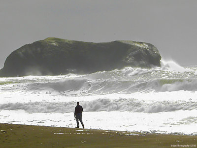 Rodeo beach