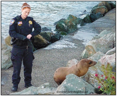 sealion rescue-1