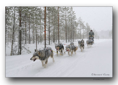 traineau (Laponie)- sled (Lapland)