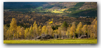 Paysage d'automne en Norvège-Autumn Landscape in Norway