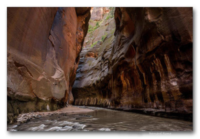 Zion National park the narrows