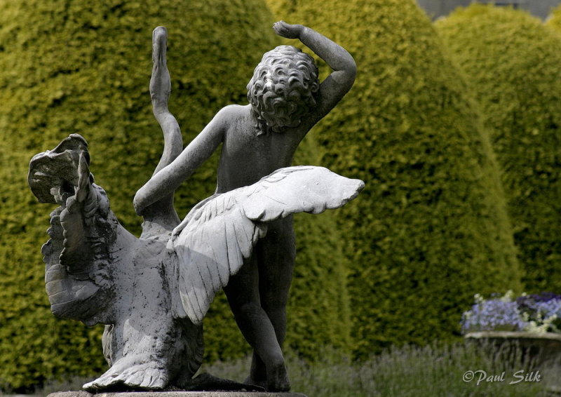 Cupid and Swan