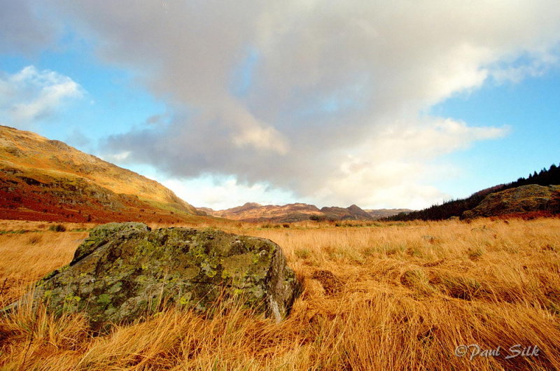 Windswept