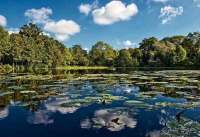 Autumn Lake