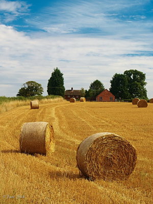 Hay Bales